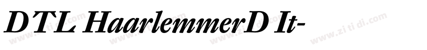 DTL HaarlemmerD It字体转换